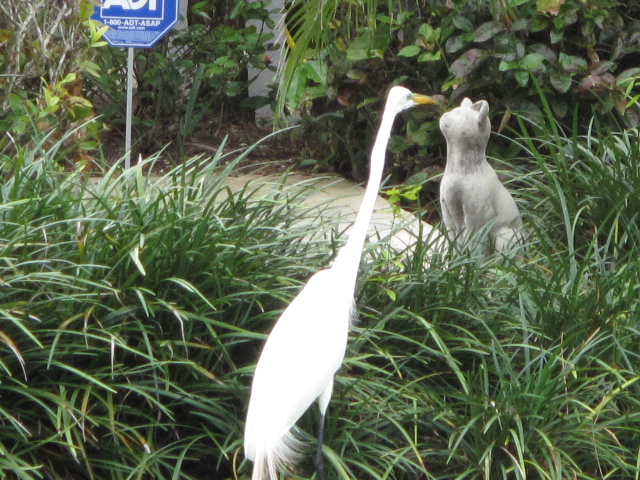 Gotcha! Oh, it's not real