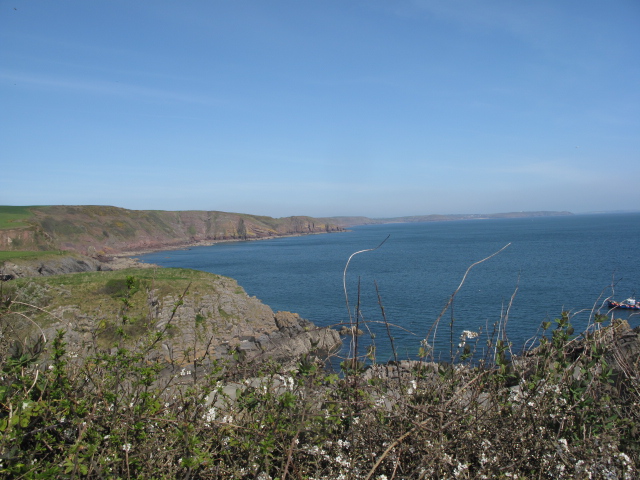 March, Barafundle Bay, Pembrokeshire, Wales