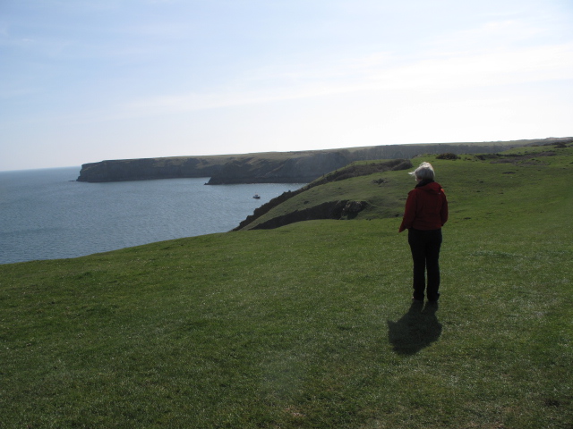 March, Barafundle Bay, Pembrokeshire, Wales