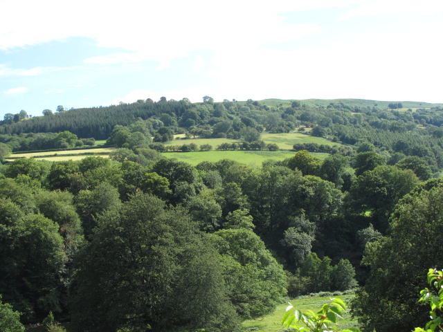Shadings of Green in Wales